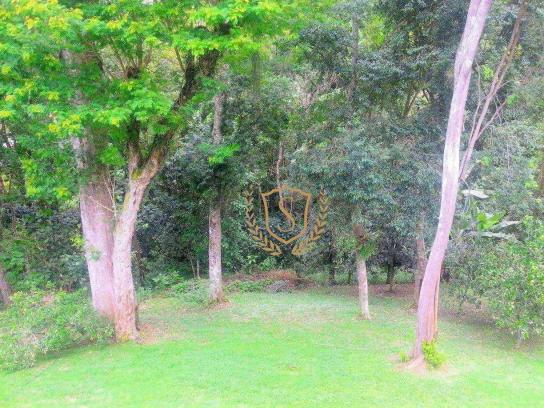 Terreno à venda, 1600 m² por r$ 100.000 - parque do imbui - teresópolis/rj - Foto 2