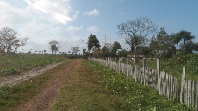 Fazenda - Foto 6