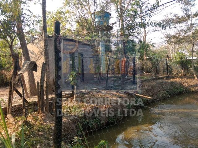 Otima Chácara no Coxipó do Ouro - Foto 4