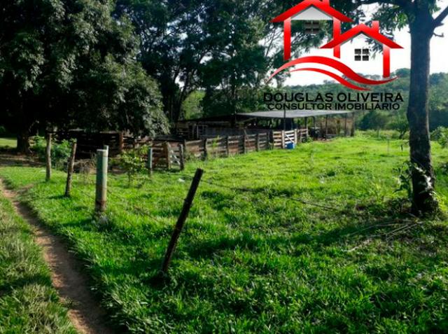 Sitio de 23 Alqueires em Pedregulho - Foto 8