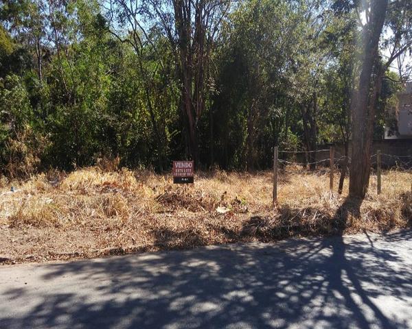 Lote vila alto da glória - Foto 3