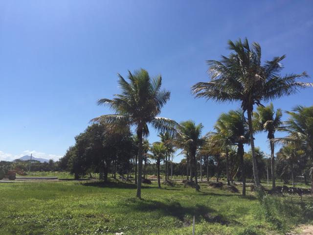 Conheça o que há de melhor em Unamar Cabo Frio 04 - Foto 4
