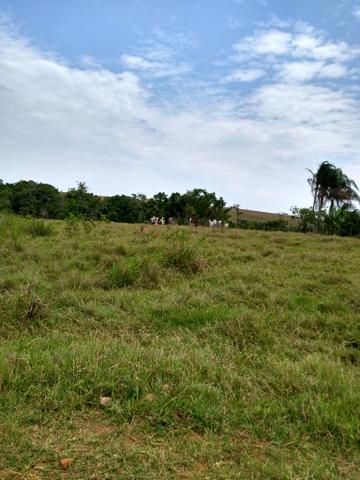 Sitio á venda em Fernandópolis - Foto 8