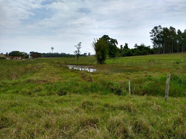 Sitio á venda em Fernandópolis