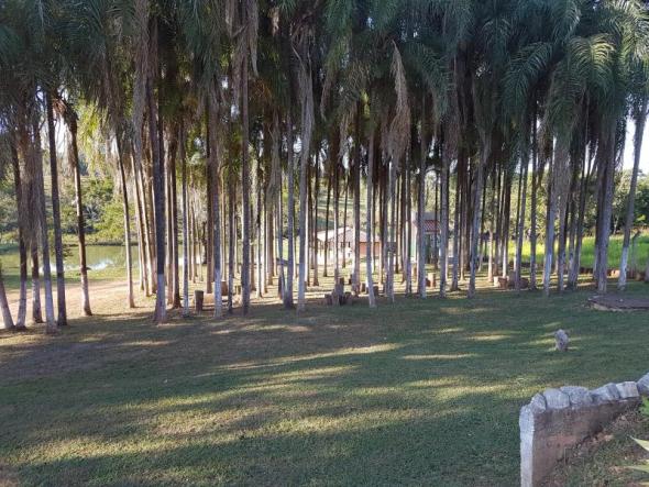 Chácara à venda com 3 dormitórios em Zona rural, Santa barbara de goias cod:em518