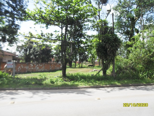 Terreno de 1200m2 - Foto 3