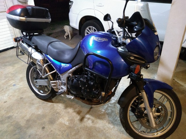 olx triumph tiger