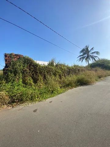 Terreno a 50 metros da avenida Litorânea - Foto 3