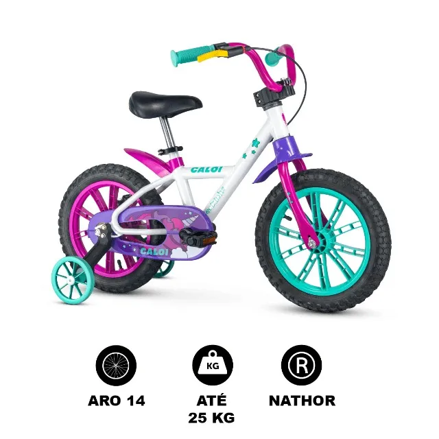 Bicicleta Caloi Barbie - Aro 20 - Freio V-Brake - Câmbio Traseiro Caloi -  Feminina - Infantil