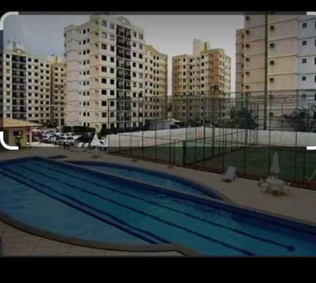 Foto - Salvador - Jardim das Margaridas