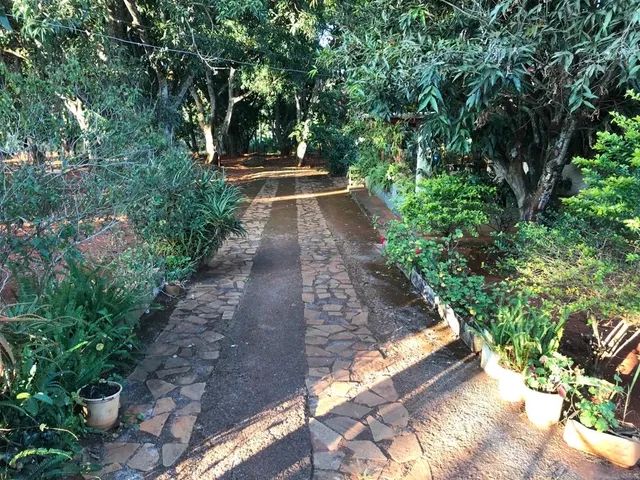 VENDO CHÁCARA EM ABADIANIA COM RIBEIRÃO  - Foto 3