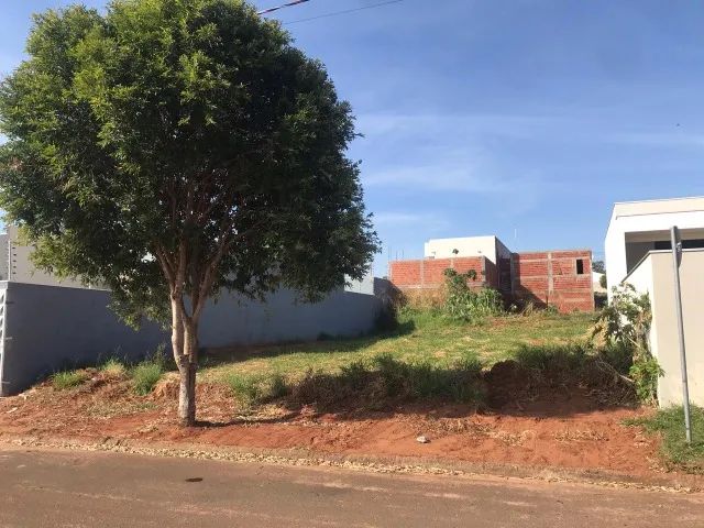 Terreno Jardim Grécia - Porto Rico/PR - Foto 2