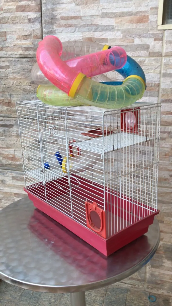 Gaiola para Hamster / porquinho da índia / chinchila