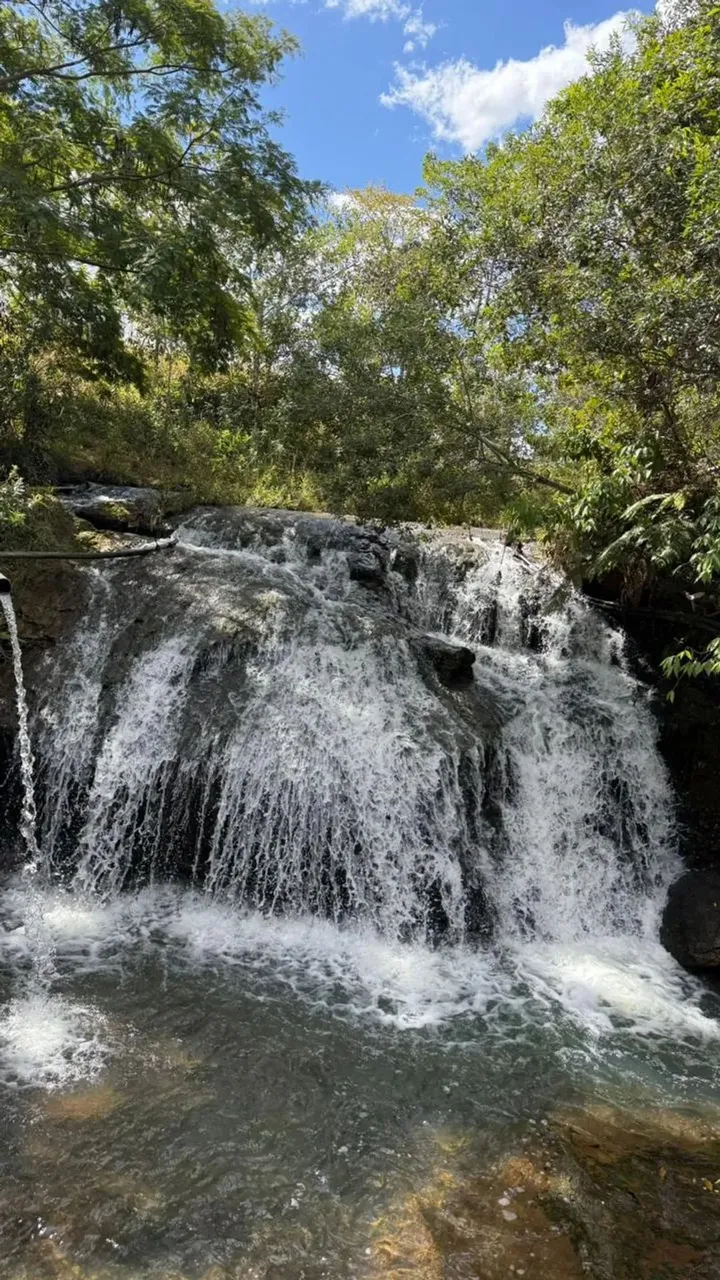 Sitio de 15 Alqueires em Luziãnia GO - Acesso via GO 010, Fazenda em Luziãnia GOa