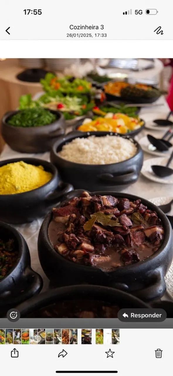 Cozinheira profissional 