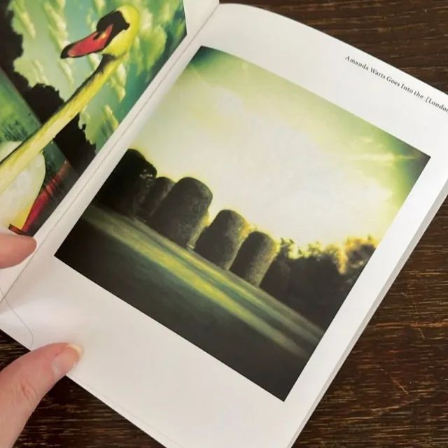livro fotografico diana f+ lomography - Foto 5