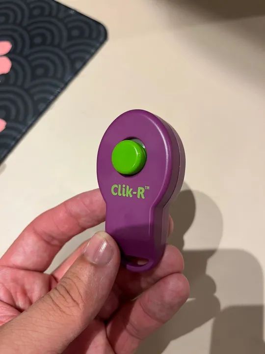 Clicker para adestramento - Nunca usado - Foto 2