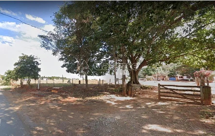 área - João Aranha - Paulínia - Foto 3