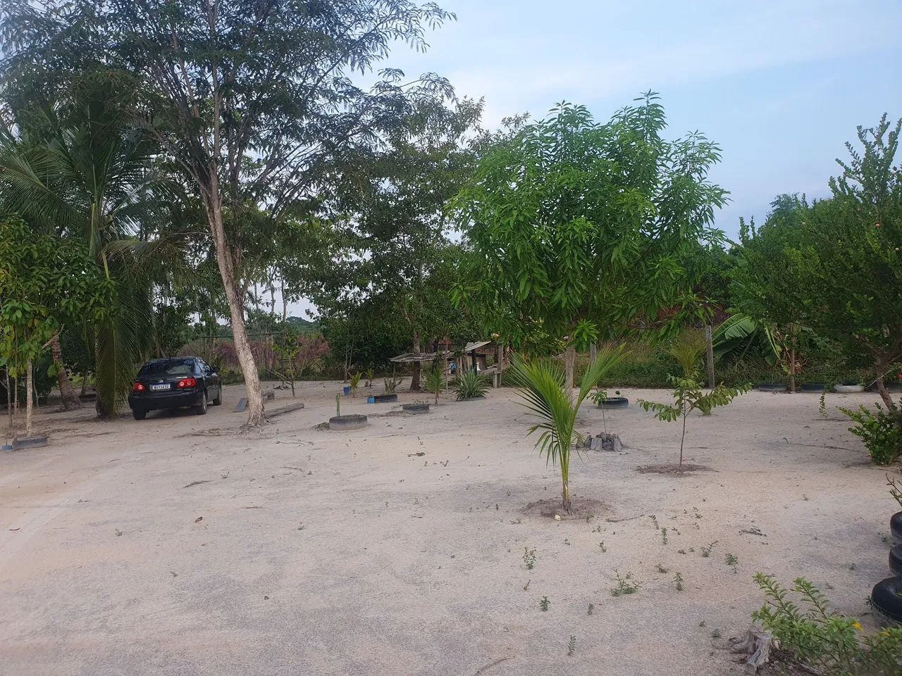 Vendo ou troca lote com 60 hectares na 432 a 18 km da vila Novo Paraíso(500).  - Foto 4