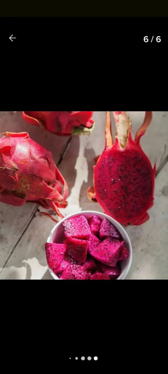 MUDAS DE PITAYA VERMELHA   - Foto 5