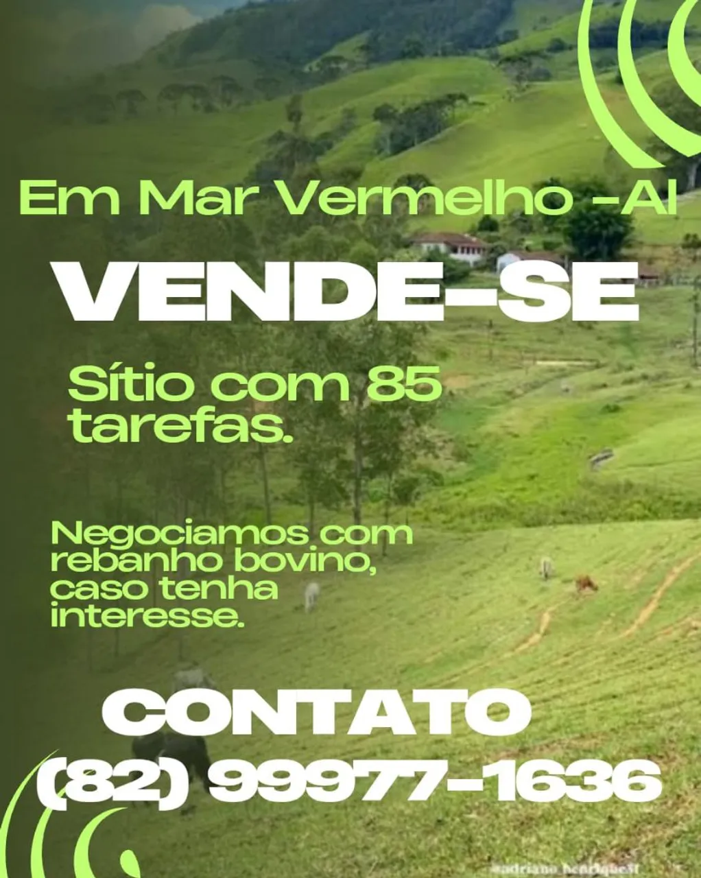 Vende-se um sitio