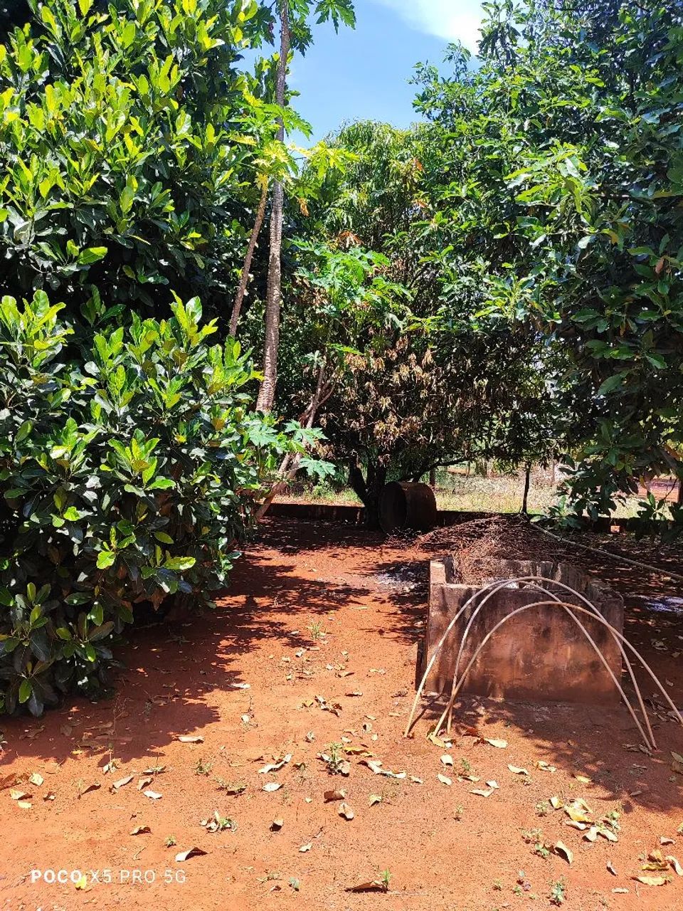 Foto - Brasília - Samambaia Norte (Samambaia)