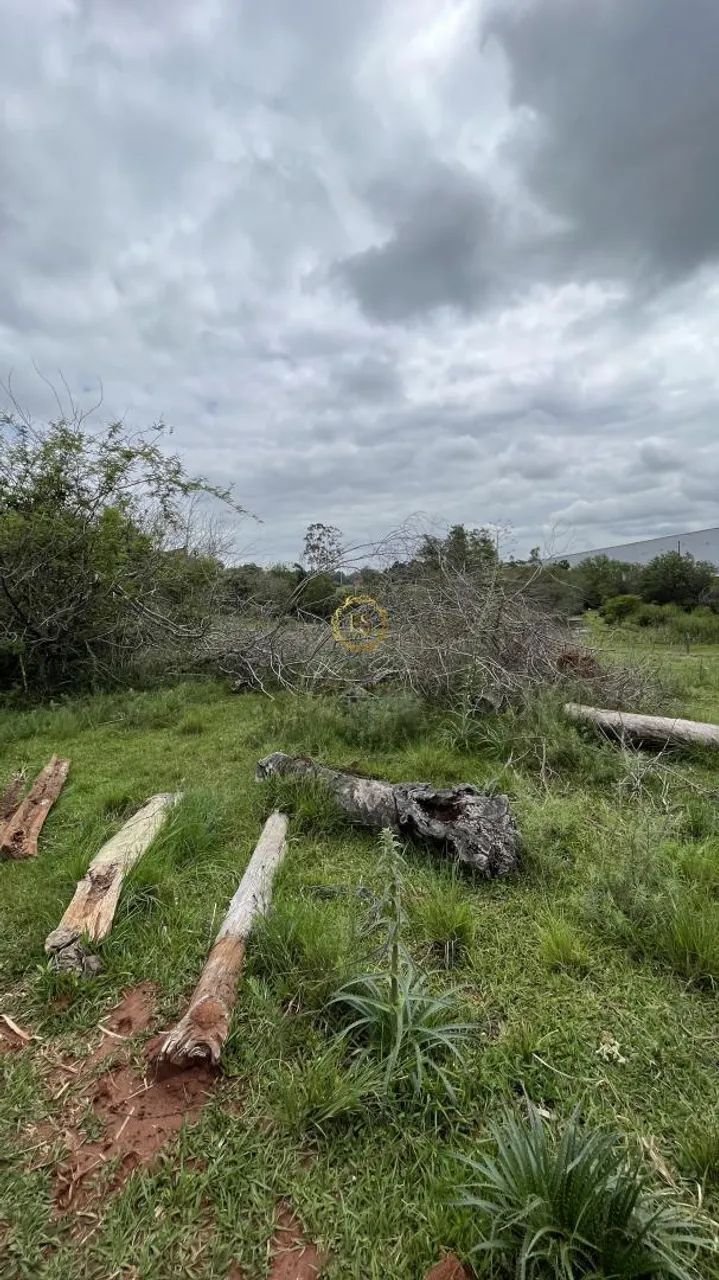 Oportunidade: Terreno para venda em Nova Santa Rita, Floresta REF: TE0178 - Foto 5