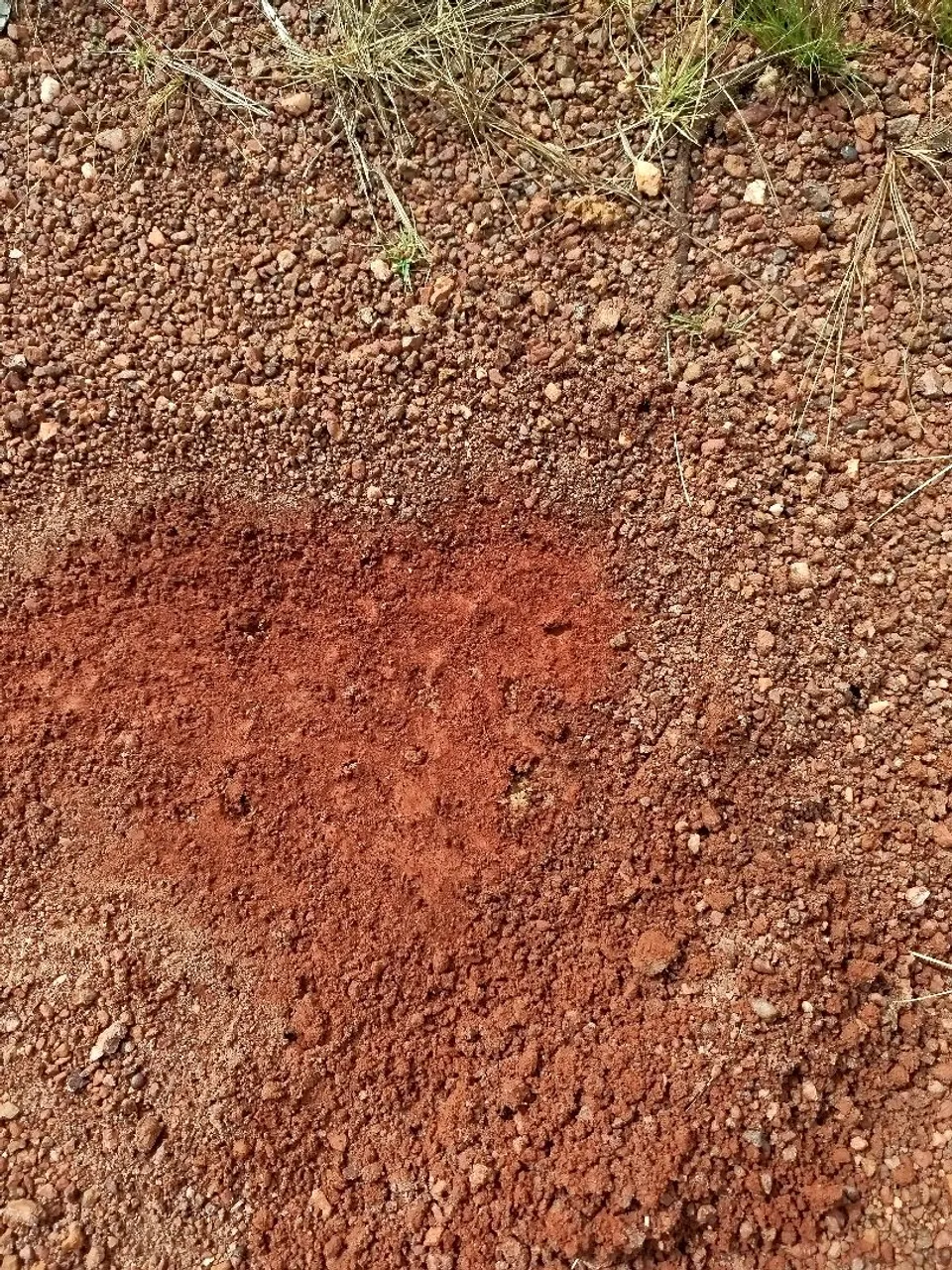 1250 há pra arrendamento região do Vale do Araguaia, 2 km do asfalto