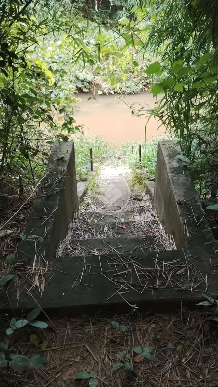 Chácara de 6,080 m2 em Varjão 7 km de chão e de Varjão, casa com 3 quartos e 2 suite codig - Foto 3