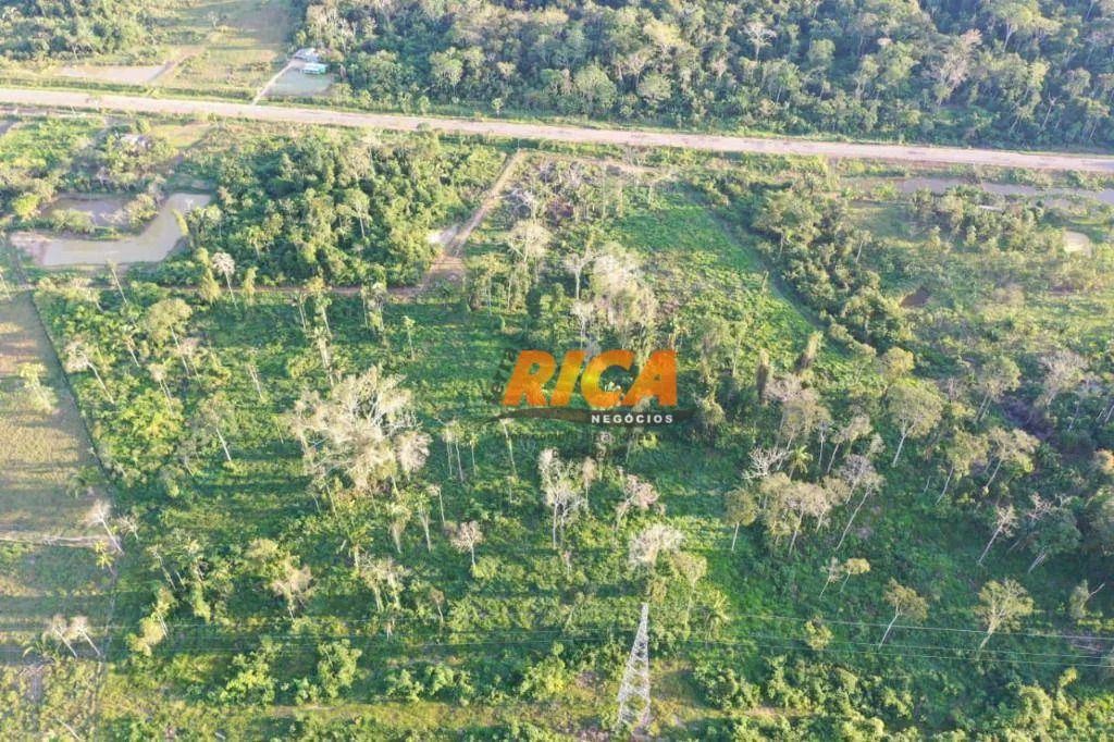 Fazenda a venda com 400 Hectares na Zona Rural de Sena Madureira/AC - Foto 4