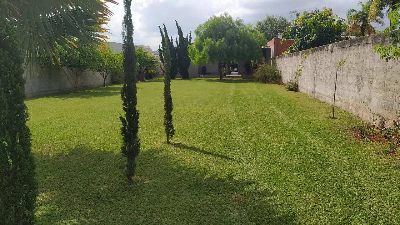 Ponte Alta Norte Gama Cs 2 qtos, lt 870m²