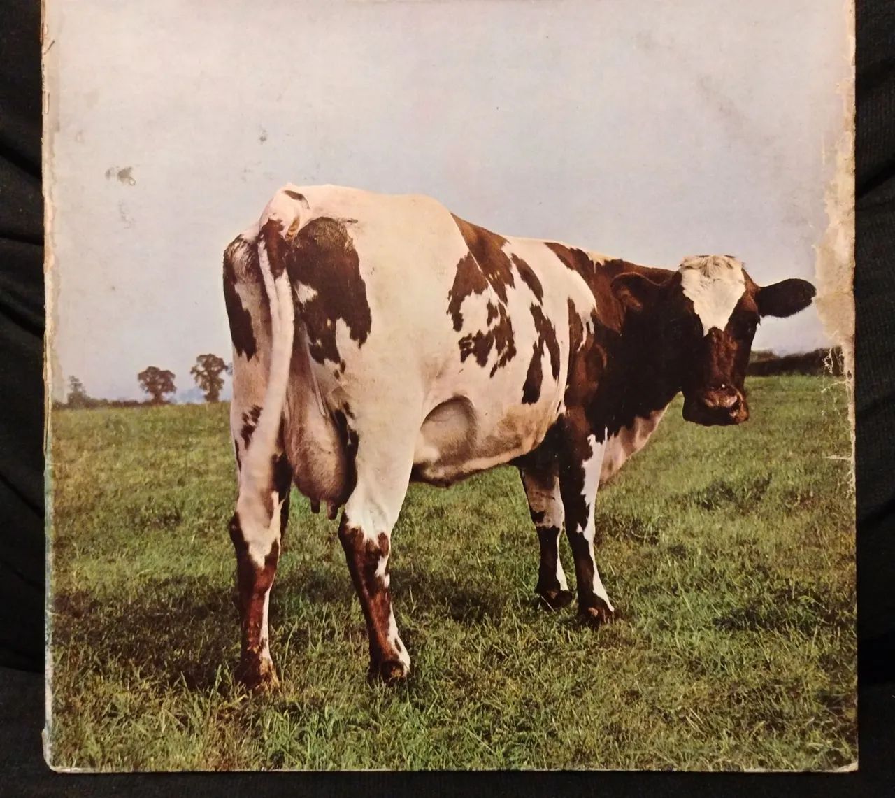 洋楽 Father Moo & The Black Sheep Vinyl LP Father Moo & The Black