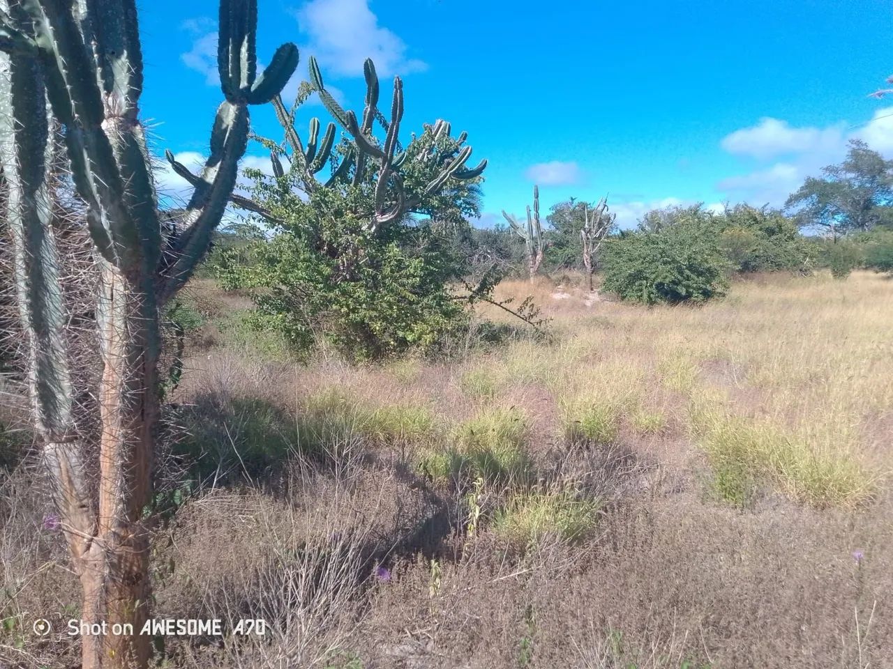Fazenda em Morro de Chapéu  - Foto 2