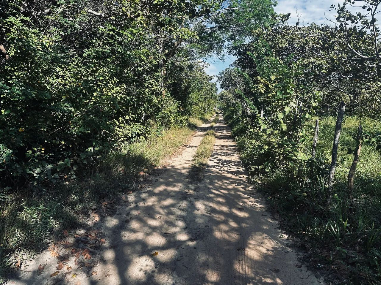 Terreno  - Foto 2