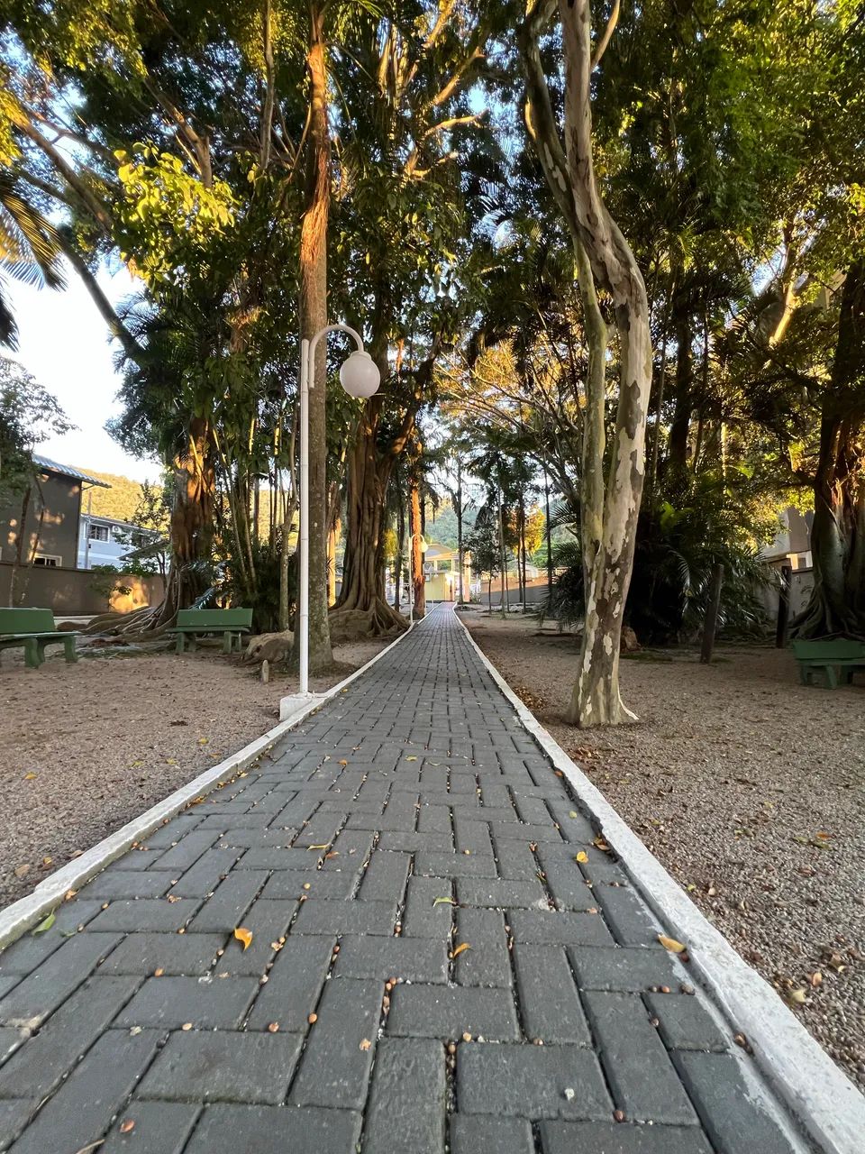 Lindo Apartamento, matrícula no registro de imóveis  - Foto 4