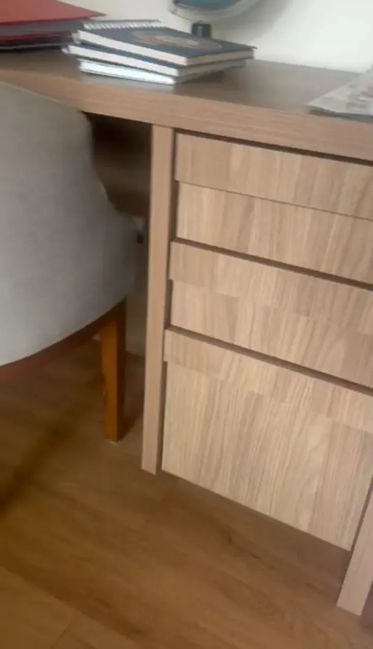 mesa de  escritório  - Foto 4