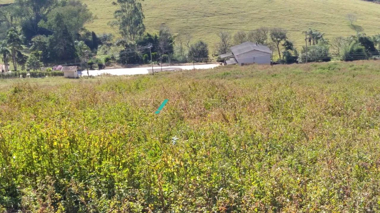 fazenda - Centro - Cambuquira - Foto 3