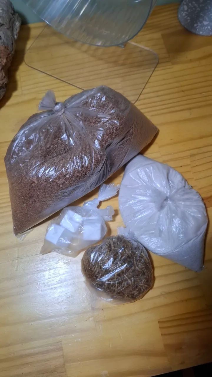 Kit para hamster  - Foto 5