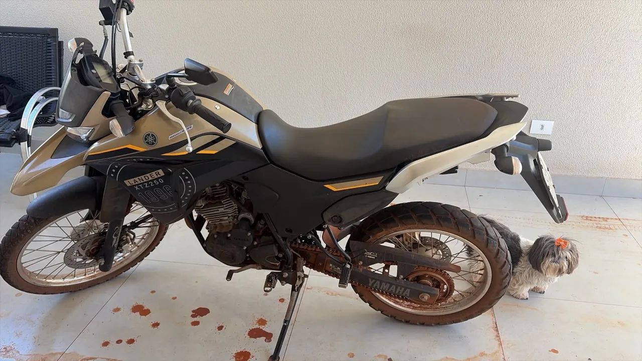 Lander 250 - Foto 4