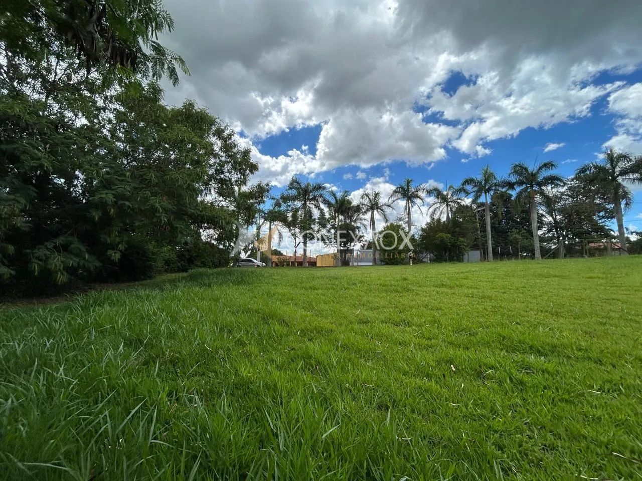 terreno - Parque Shangrilá - Campinas - Foto 3