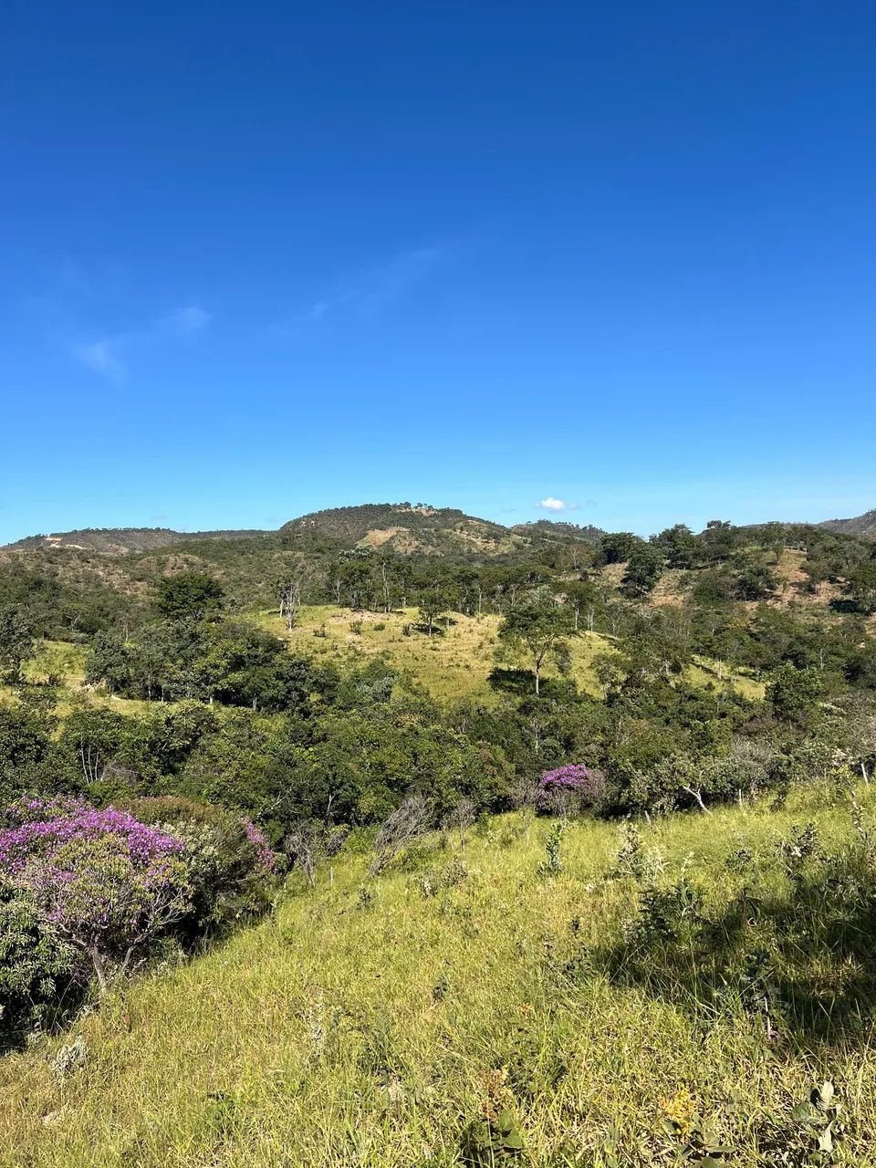 Fazenda Produtiva - Foto 6