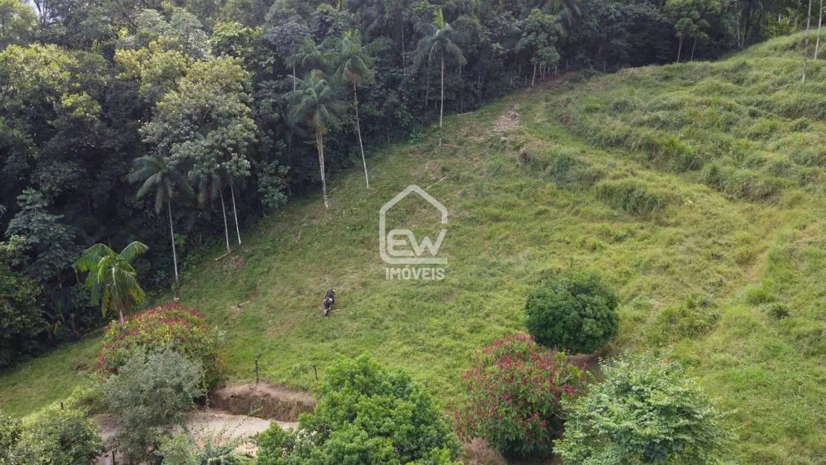 Chácara com 20.000m² em Schroeder/SC - Foto 5