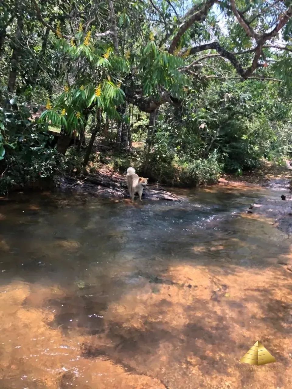 Chácara para venda, , Chapada Dos Guimarães - Foto 5
