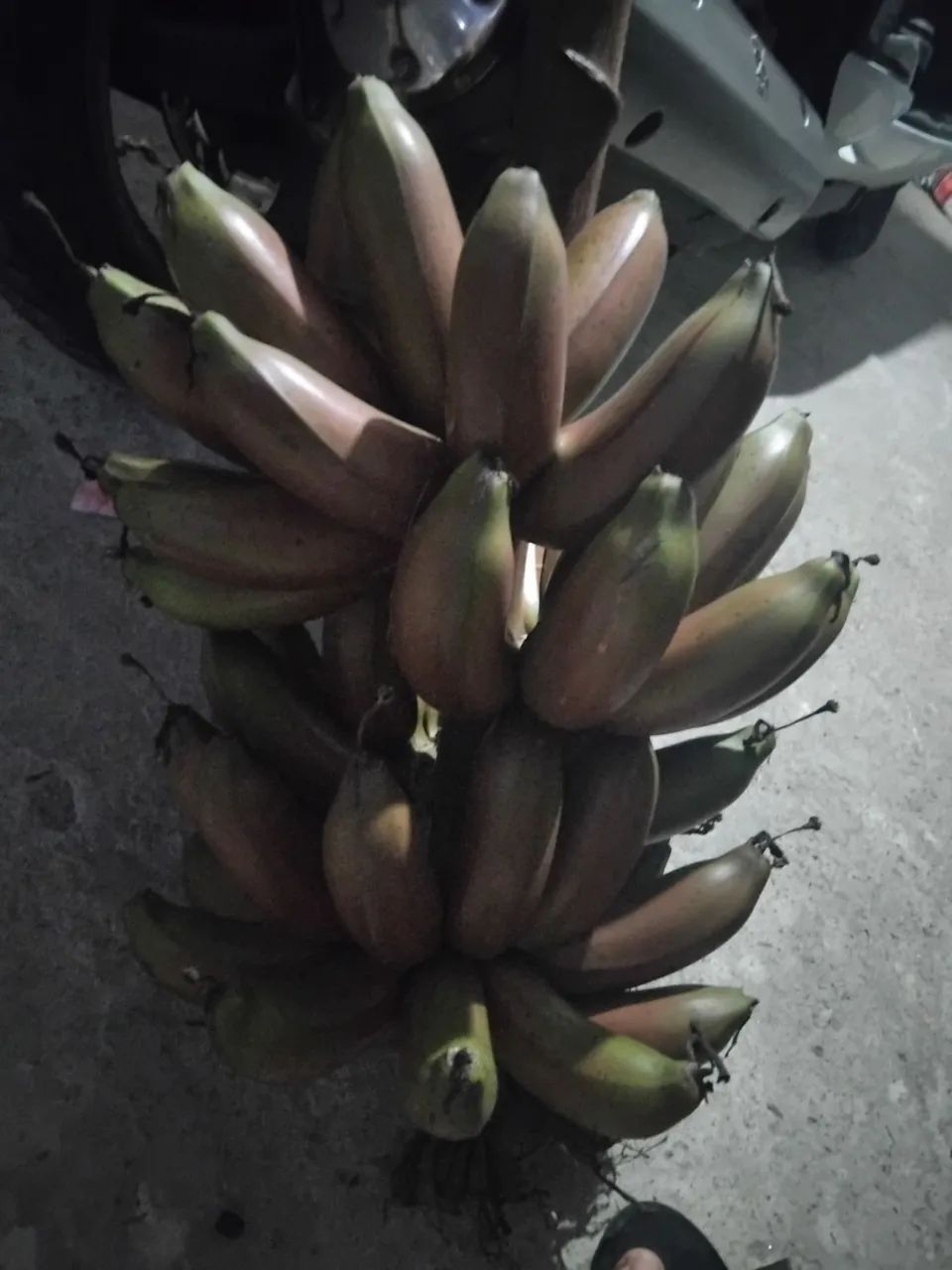 Mudas de bananeiras - Foto 2