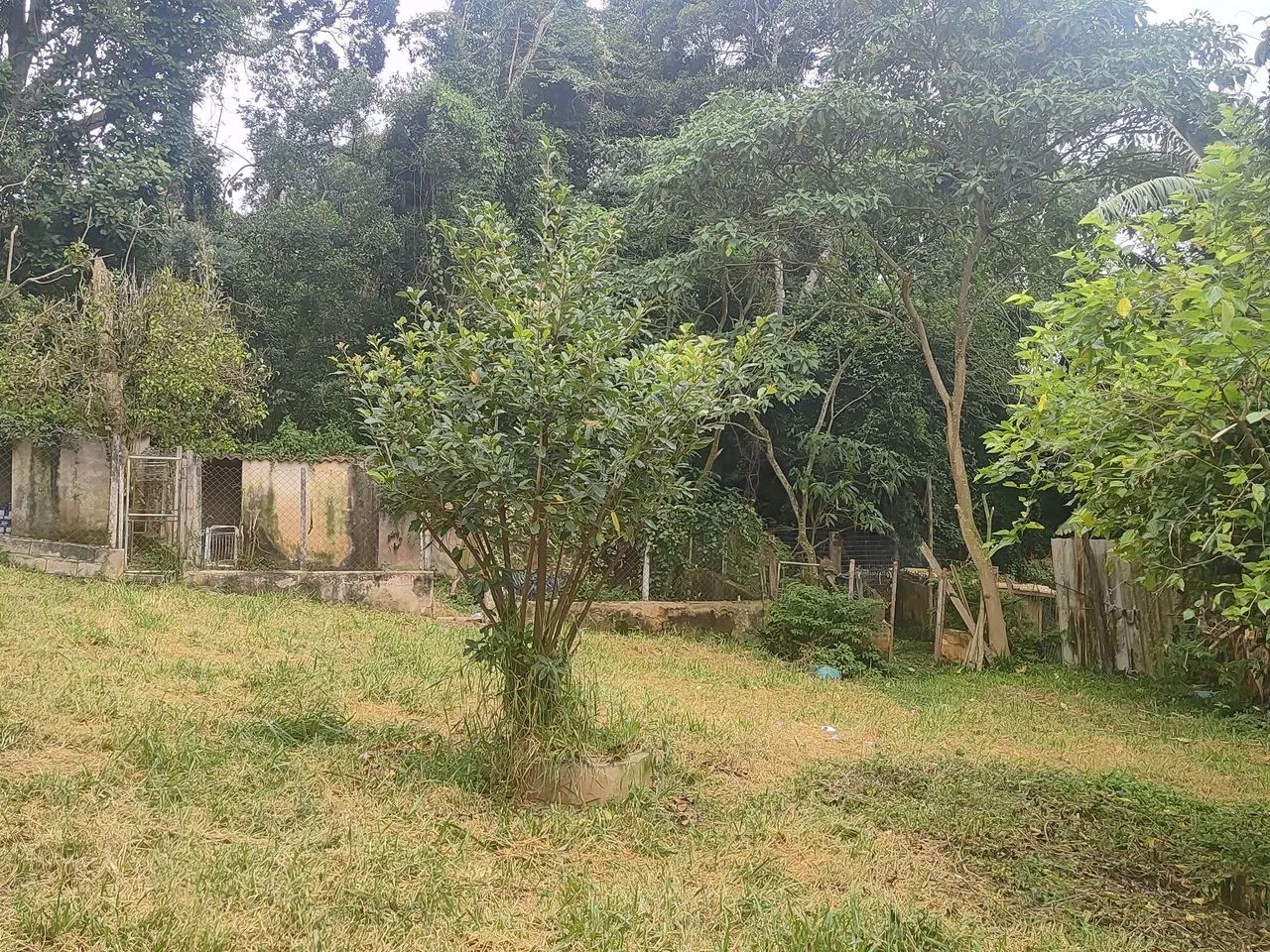Foto - Ibiúna - 