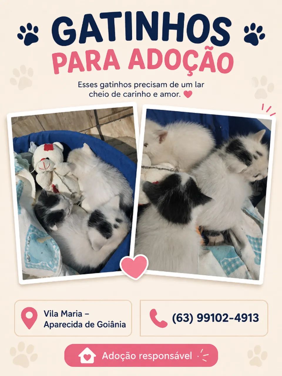 Gatinhos para adoção!