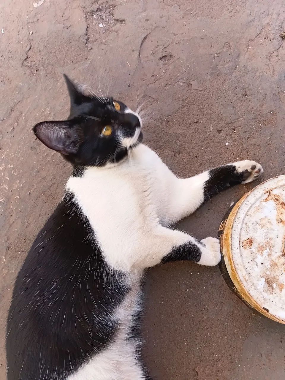 Doação  - Foto 5