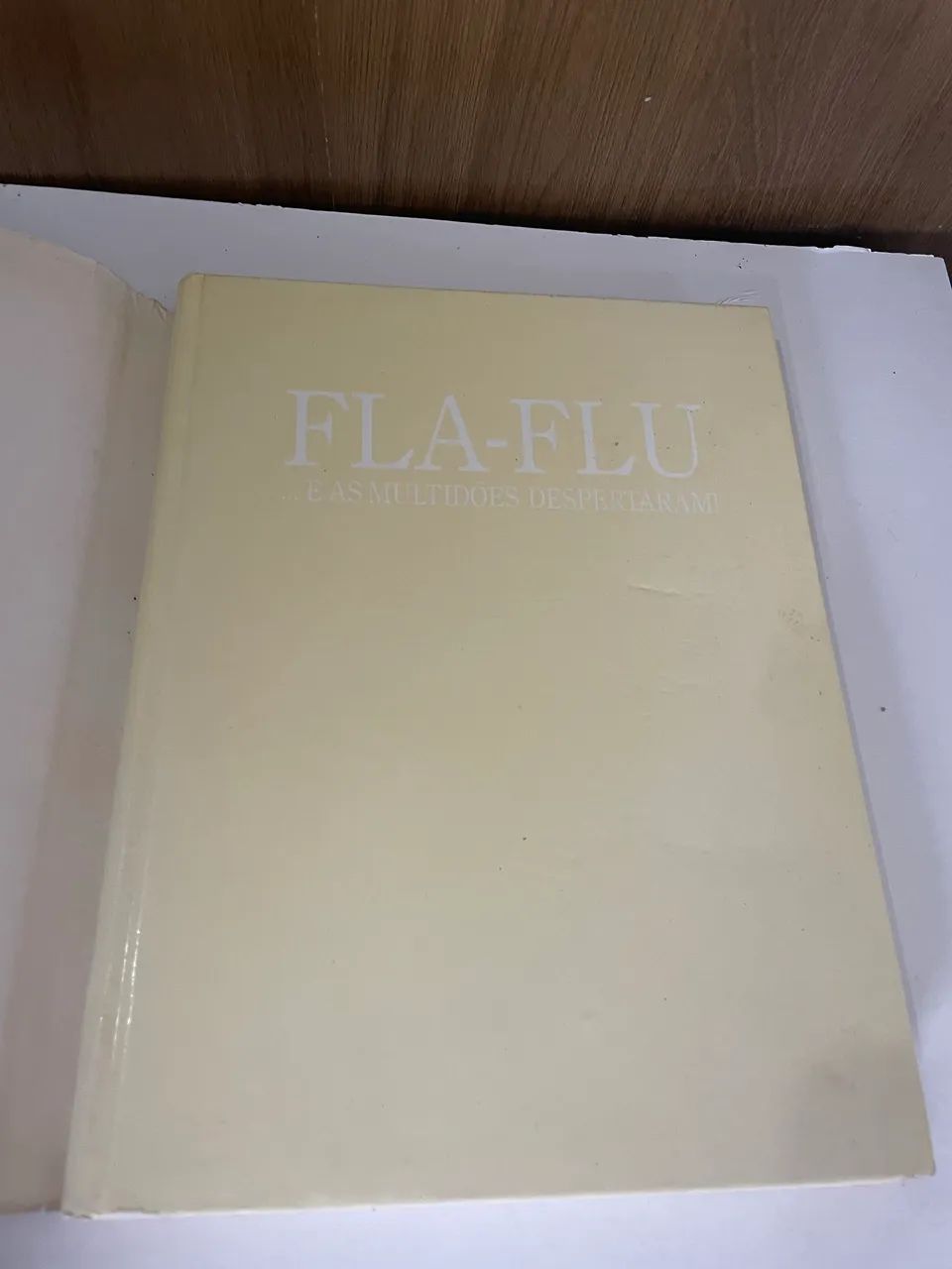 Fla-Flu... e as Multidões Despertaram! - Foto 4