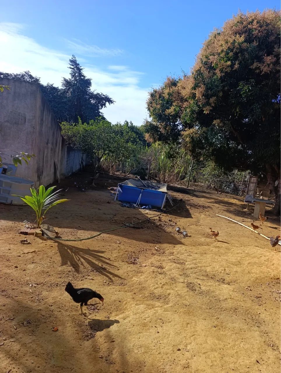 Chácara impecável  - Foto 3