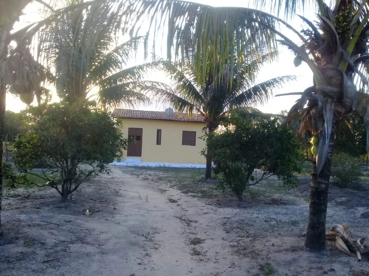 Sítio com plantas é casa bem estruturada. - Foto 3